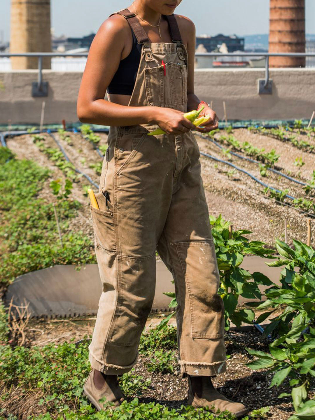 Queenie | Utility Jumpsuit